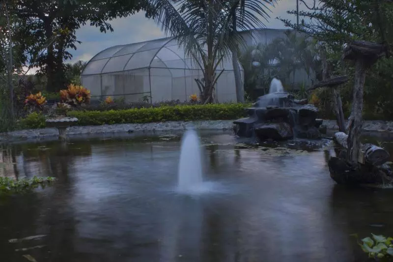 Fotos del hotel Hotel Robledal:  2