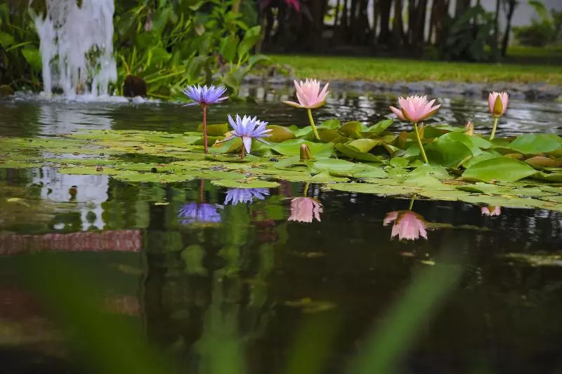 Fotos del hotel Hotel Robledal:  4