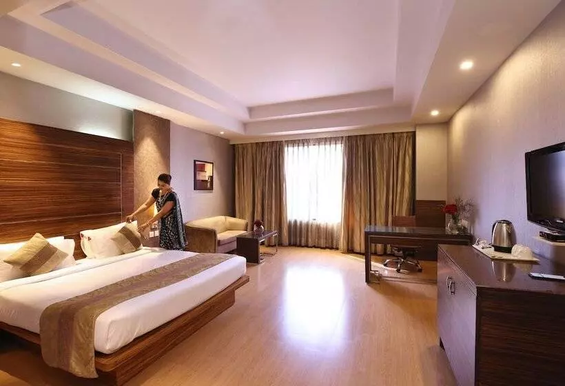 Fotos del hotel Mapple Emerald New Delhi:  9