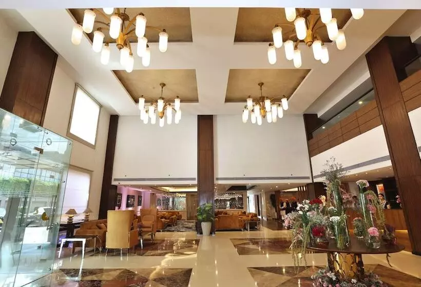 Fotos del hotel Mapple Emerald New Delhi:  8