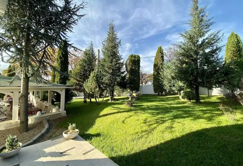 Fotos del hotel Hotel Sunny Hill:  13