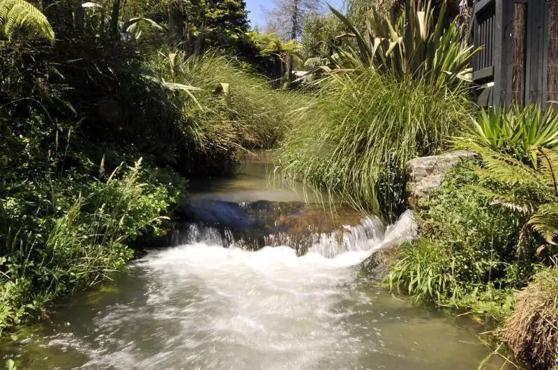 Fotos del hotel Wai Ora Lakeside Spa Resort:  6