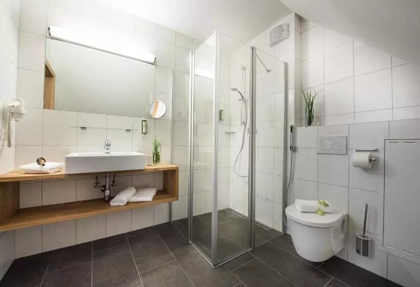 Fotos del hotel Alpenparks Hotel & Apartment Central Zell Am See:  7