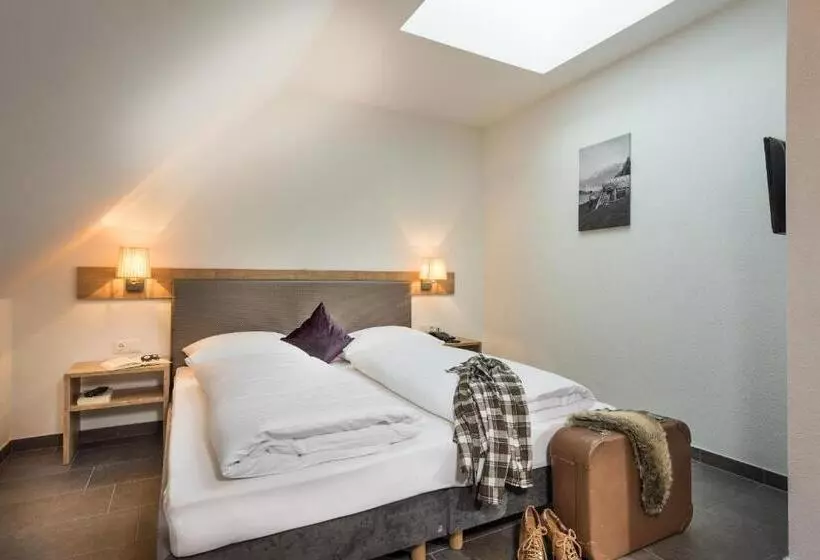 Fotos del hotel Alpenparks Hotel & Apartment Central Zell Am See:  16