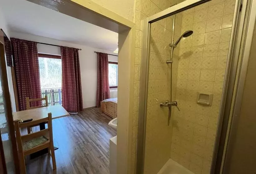 Fotos del hotel Pension & Apartments Waldkrieber:  8