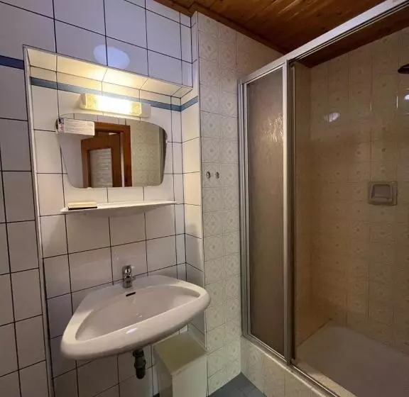 Fotos del hotel Pension & Apartments Waldkrieber:  3