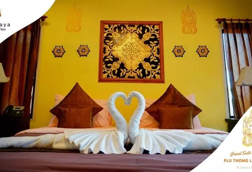 Fotos del hotel Pludhaya Resort & Spa:  14