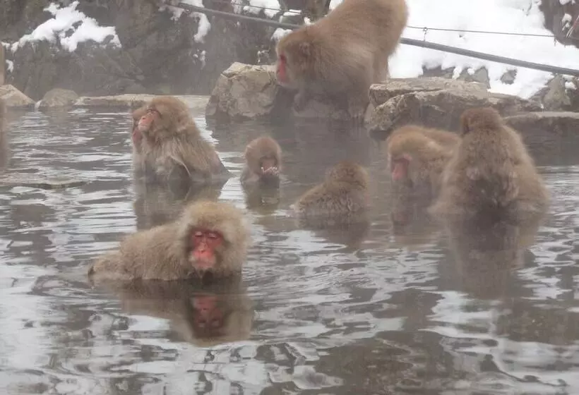 Fotos del hotel Shibu:  11