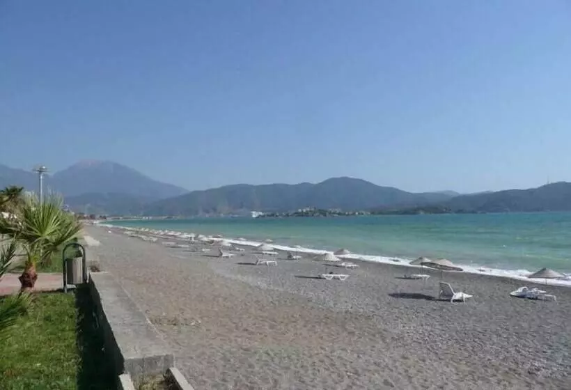 Fotos del hotel Truva:  7