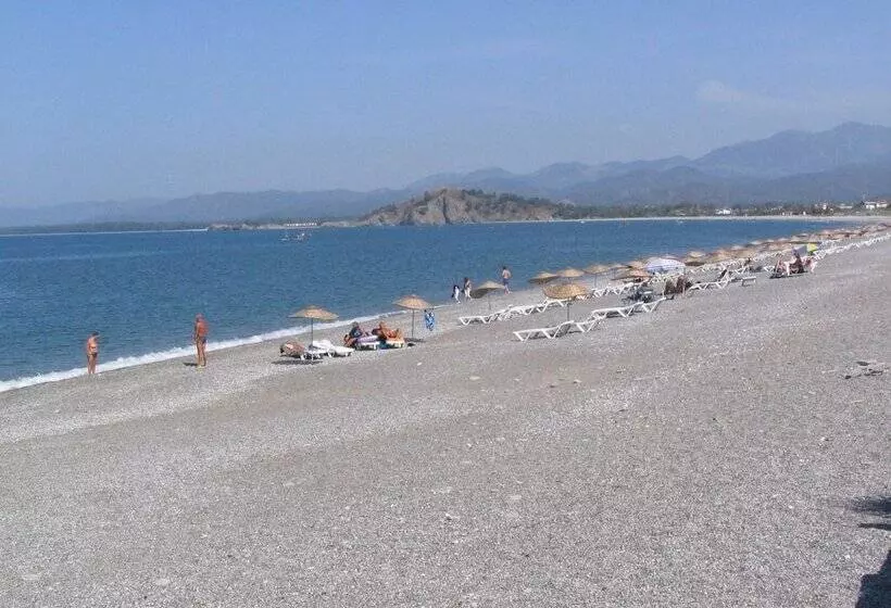 Fotos del hotel Truva:  14