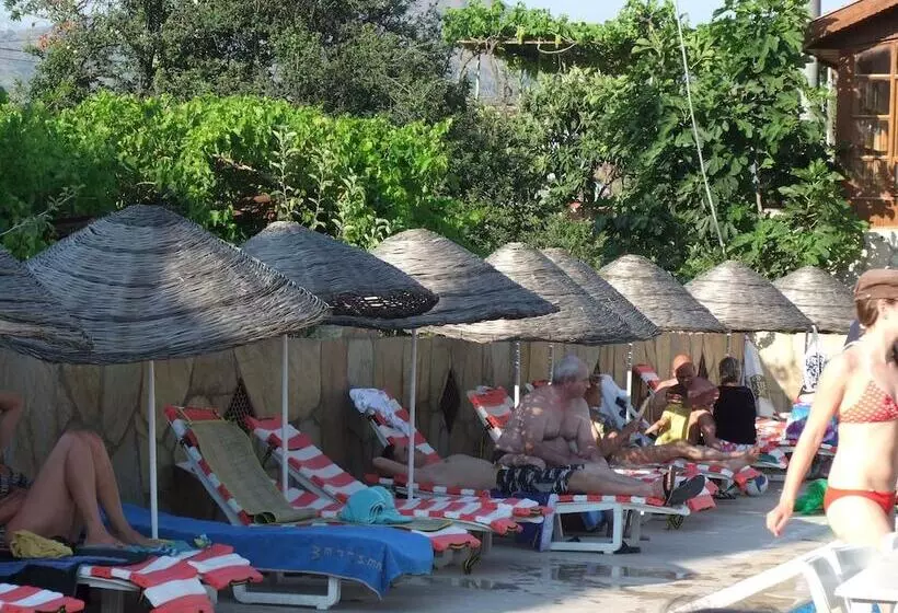 Fotos del hotel Truva:  10