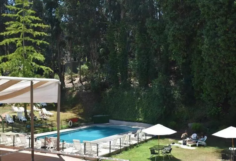 Fotos del hotel Bosque De Reñaca:  18