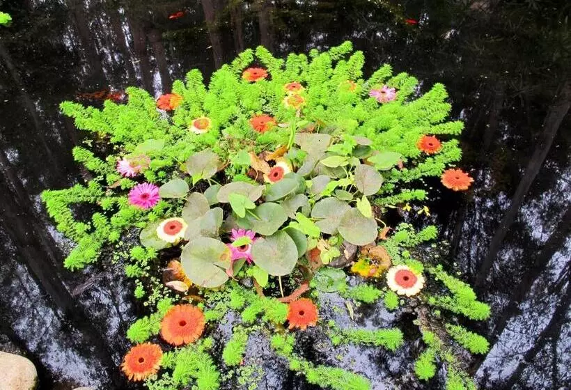 Fotos del hotel Bosque De Reñaca:  23