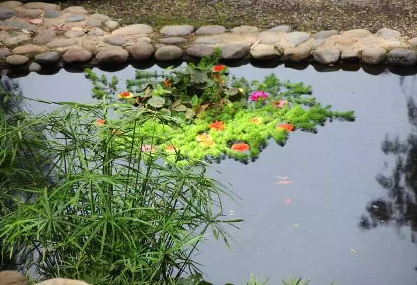 Fotos del hotel Bosque De Reñaca:  9