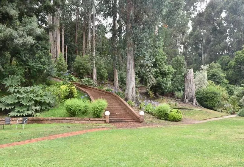 Fotos del hotel Bosque De Reñaca:  22