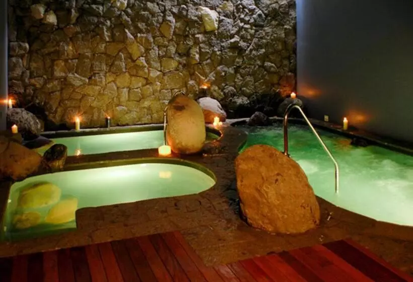 Fotos del hotel Bosque De Reñaca:  5