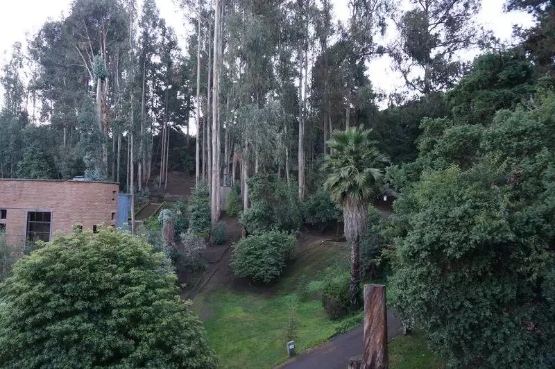 Fotos del hotel Bosque De Reñaca:  17