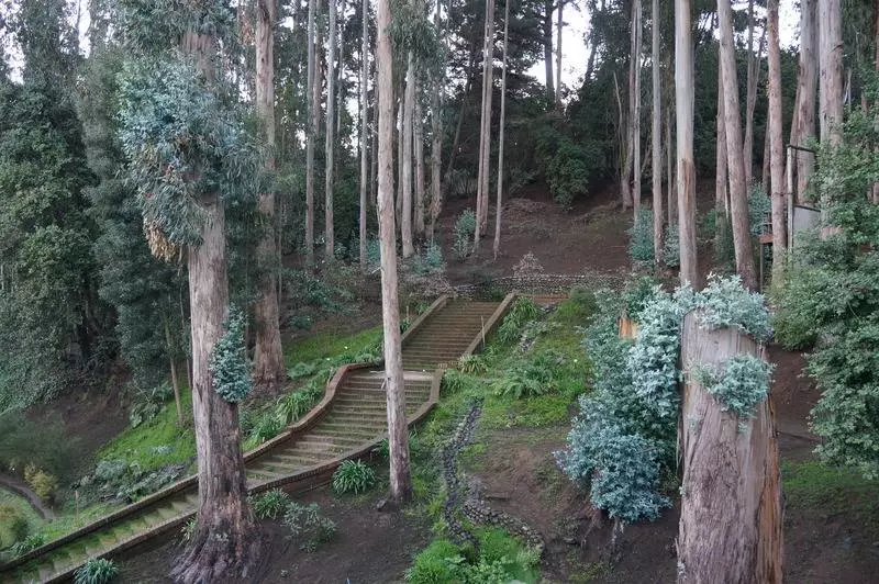 Fotos del hotel Bosque De Reñaca:  24