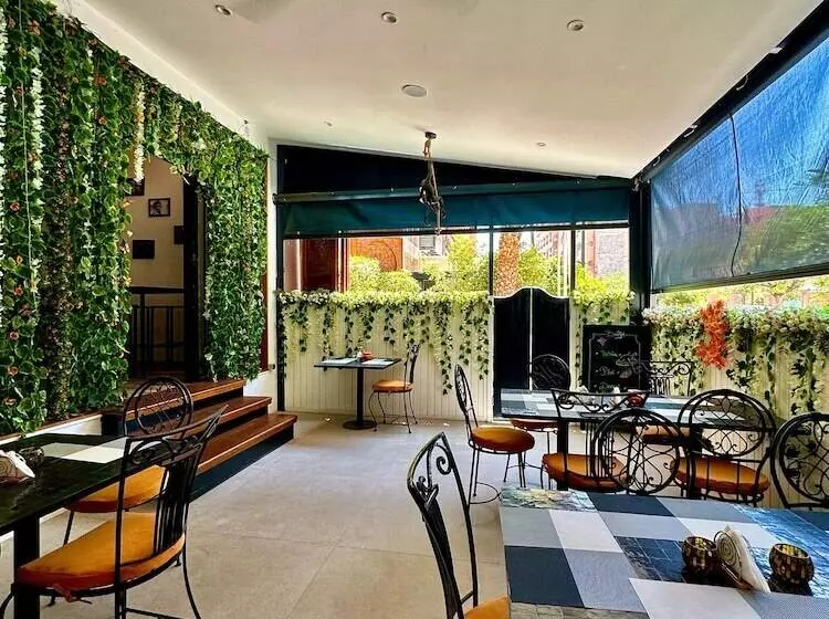 Fotos del hotel Les Trois Palmiers:  16