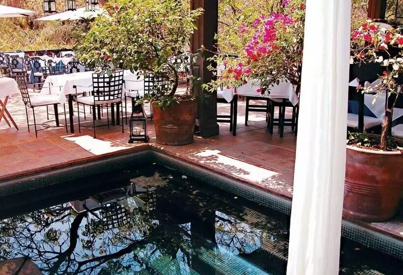 Fotos del hotel Terraza Tamayo Toscana:  10