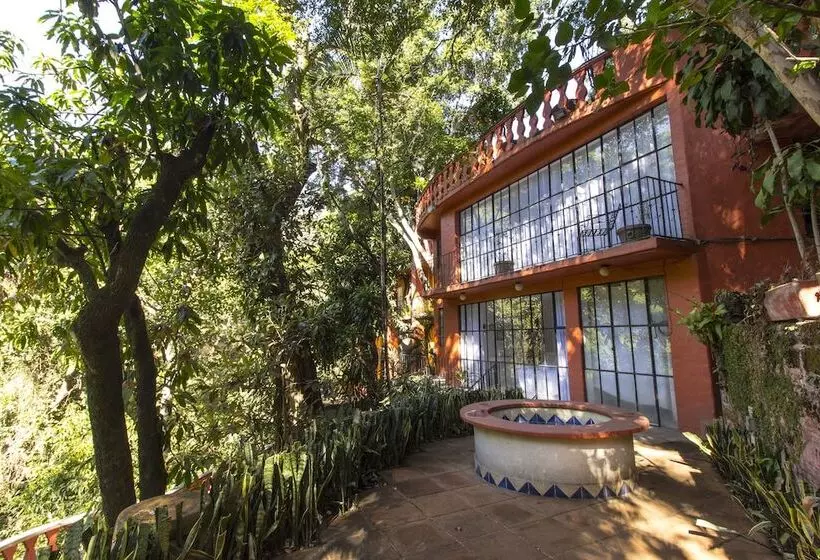 Fotos del hotel Terraza Tamayo Toscana:  15