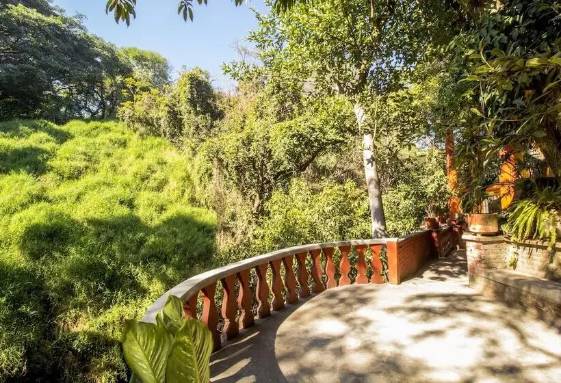 Fotos del hotel Terraza Tamayo Toscana:  11