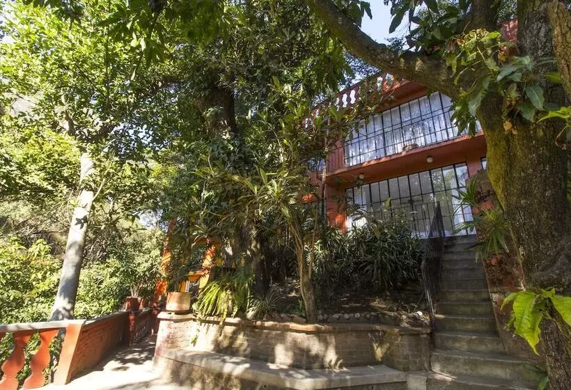 Fotos del hotel Terraza Tamayo Toscana:  18