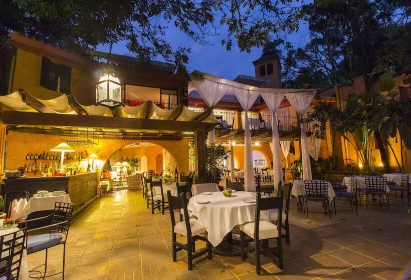 Fotos del hotel Terraza Tamayo Toscana:  17