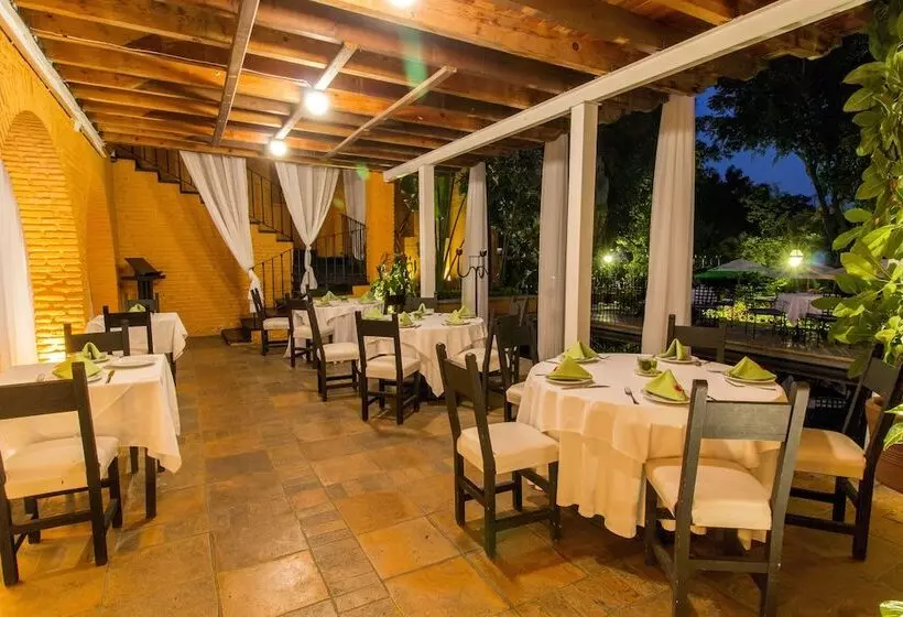 Fotos del hotel Terraza Tamayo Toscana:  20