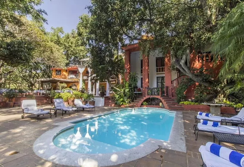 Fotos del hotel Terraza Tamayo Toscana:  13