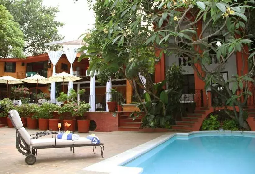 Fotos del hotel Terraza Tamayo Toscana:  8