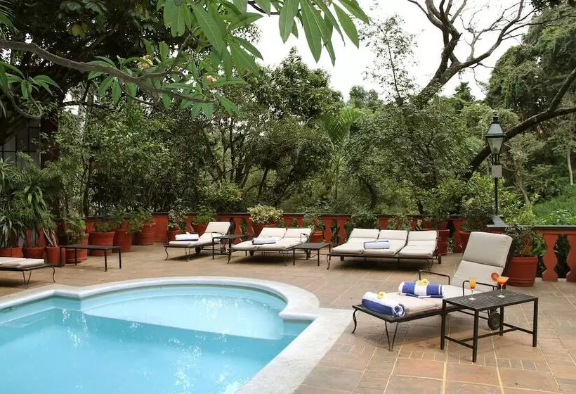 Fotos del hotel Terraza Tamayo Toscana:  3