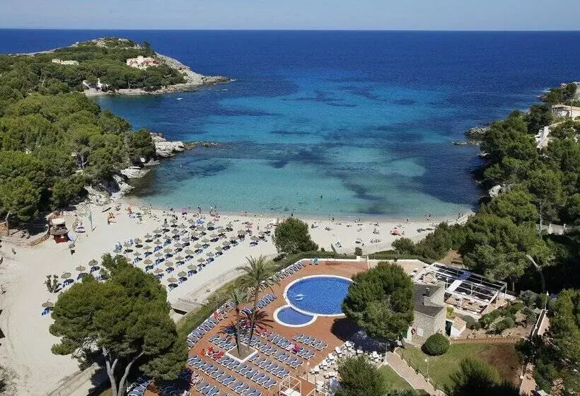 Fotos del hotel Aluasoul Carolina - Adults Only:  83