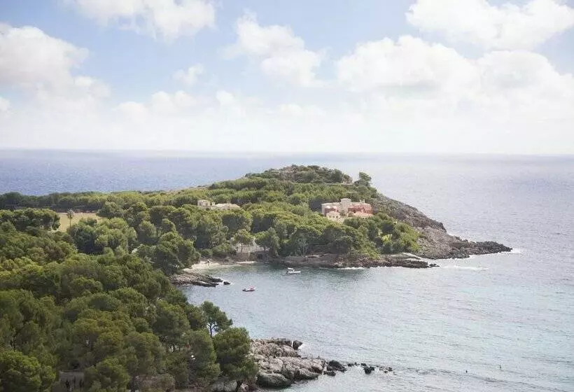 Fotos del hotel Aluasoul Carolina - Adults Only:  84