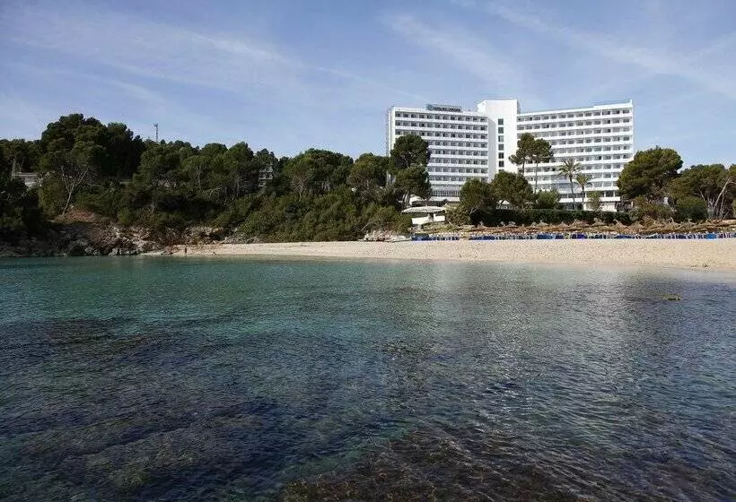 Fotos del hotel Aluasoul Carolina - Adults Only:  97