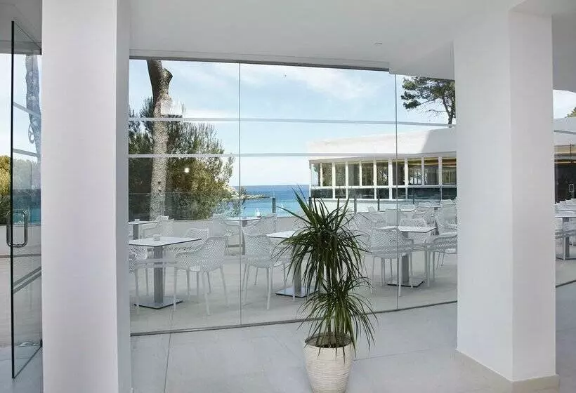 Fotos del hotel Aluasoul Carolina - Adults Only:  99