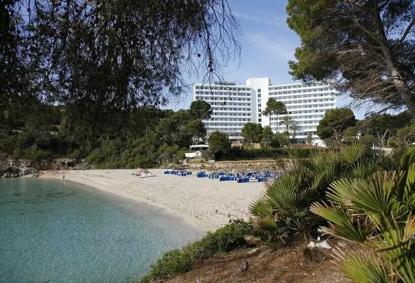 Fotos del hotel Aluasoul Carolina - Adults Only:  98