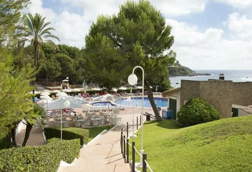 Fotos del hotel Aluasoul Carolina - Adults Only:  94