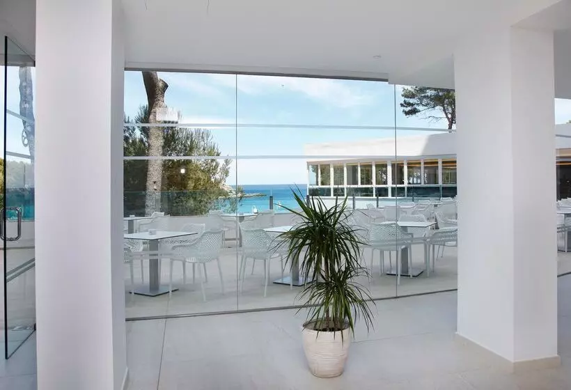 Fotos del hotel Aluasoul Carolina - Adults Only:  57