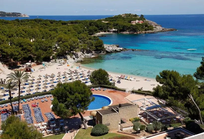 Fotos del hotel Aluasoul Carolina - Adults Only:  49