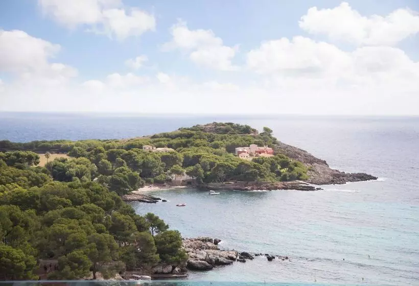 Fotos del hotel Aluasoul Carolina - Adults Only:  50