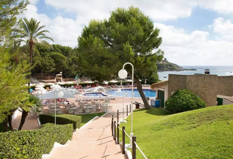 Fotos del hotel Aluasoul Carolina - Adults Only:  68