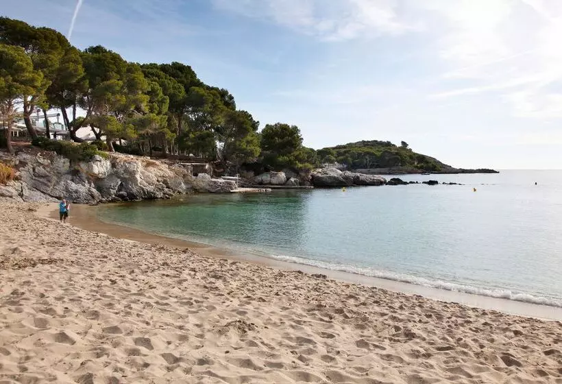 Fotos del hotel Aluasoul Carolina - Adults Only:  39