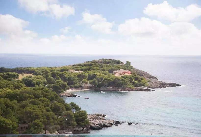 Fotos del hotel Aluasoul Carolina - Adults Only:  48