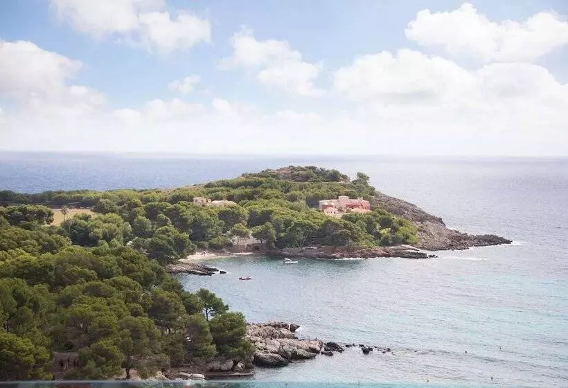 Fotos del hotel Aluasoul Carolina - Adults Only:  42