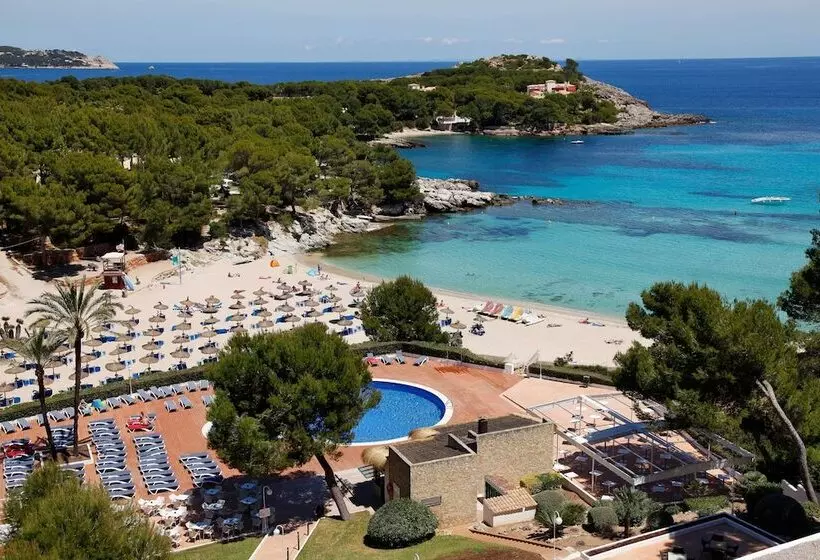 Fotos del hotel Aluasoul Carolina - Adults Only:  40