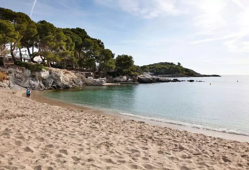 Fotos del hotel Aluasoul Carolina - Adults Only:  44