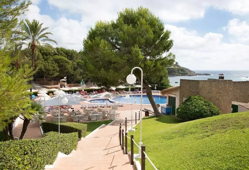 Fotos del hotel Aluasoul Carolina - Adults Only:  64