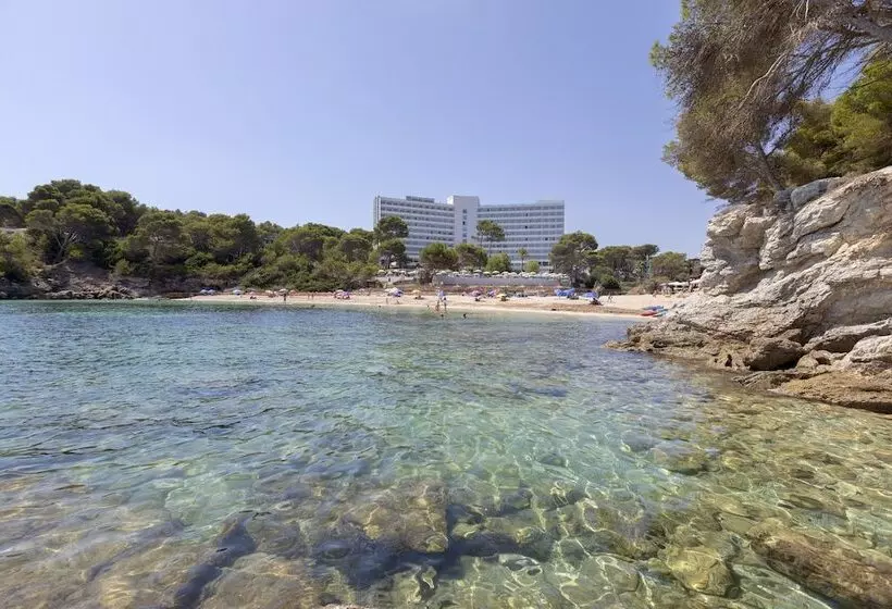 Fotos del hotel Aluasoul Carolina - Adults Only:  65