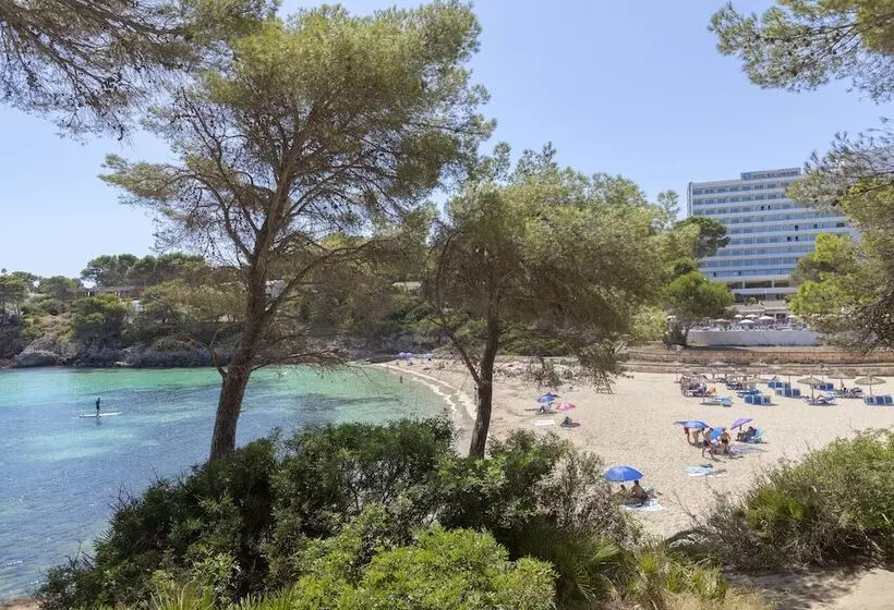 Fotos del hotel Aluasoul Carolina - Adults Only:  45